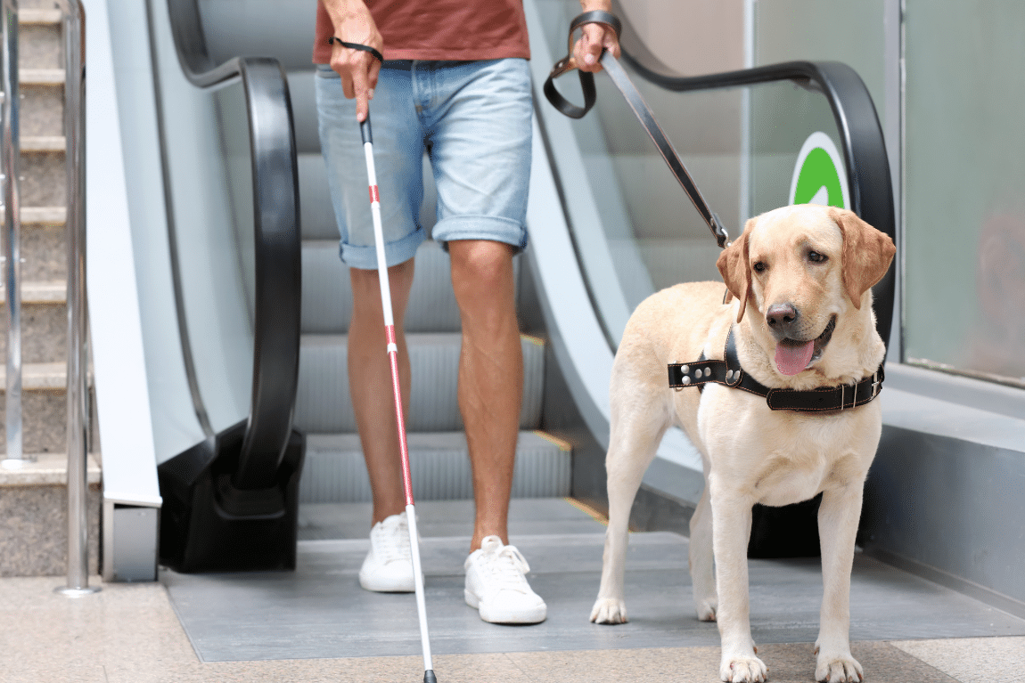 Can You Sue for Losing Vision or Hearing After an Accident?
